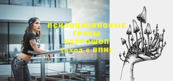 дмт Касимов