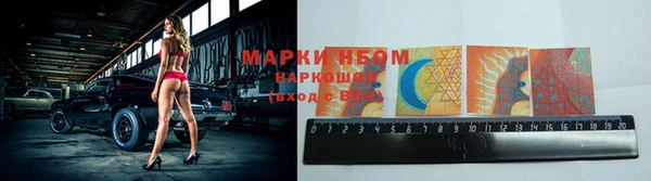 дмт Касимов