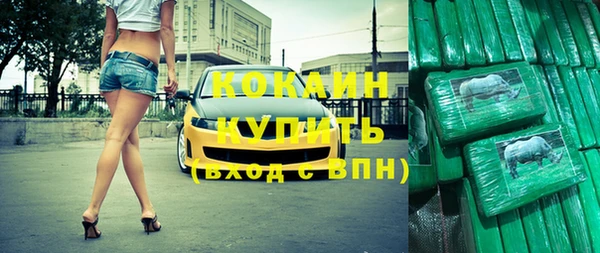 дмт Касимов