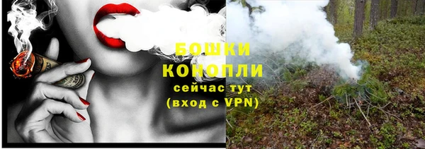 дживик Карпинск