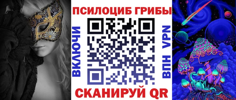 Галлюциногенные грибы Psilocybe  Купить  Архангельск 